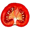 Tomate