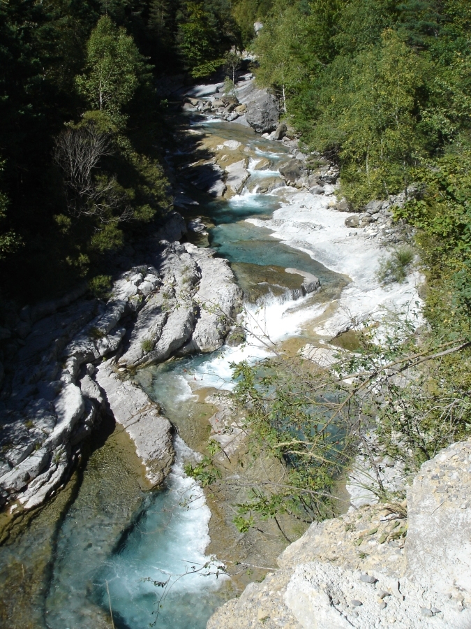 DSC02510.jpg - Rio Ara, Valle de Bujaruelo