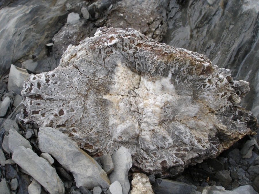 DSC03014.jpg - Druse, about the size of a rugby ball