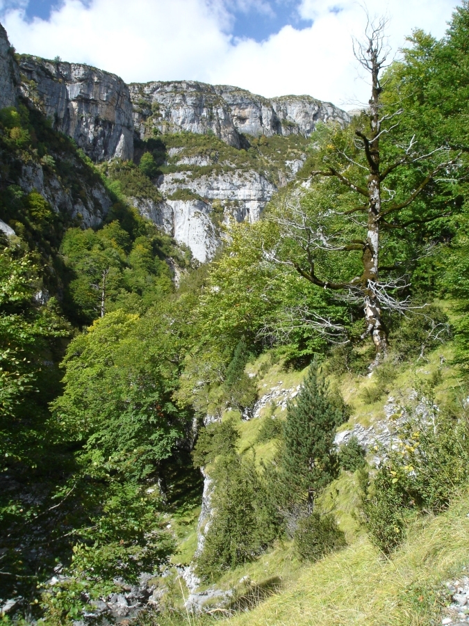 DSC03337.jpg - Canon de Anisclo